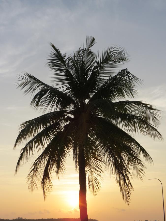 Smera Grand Maamigili Island Exterior photo